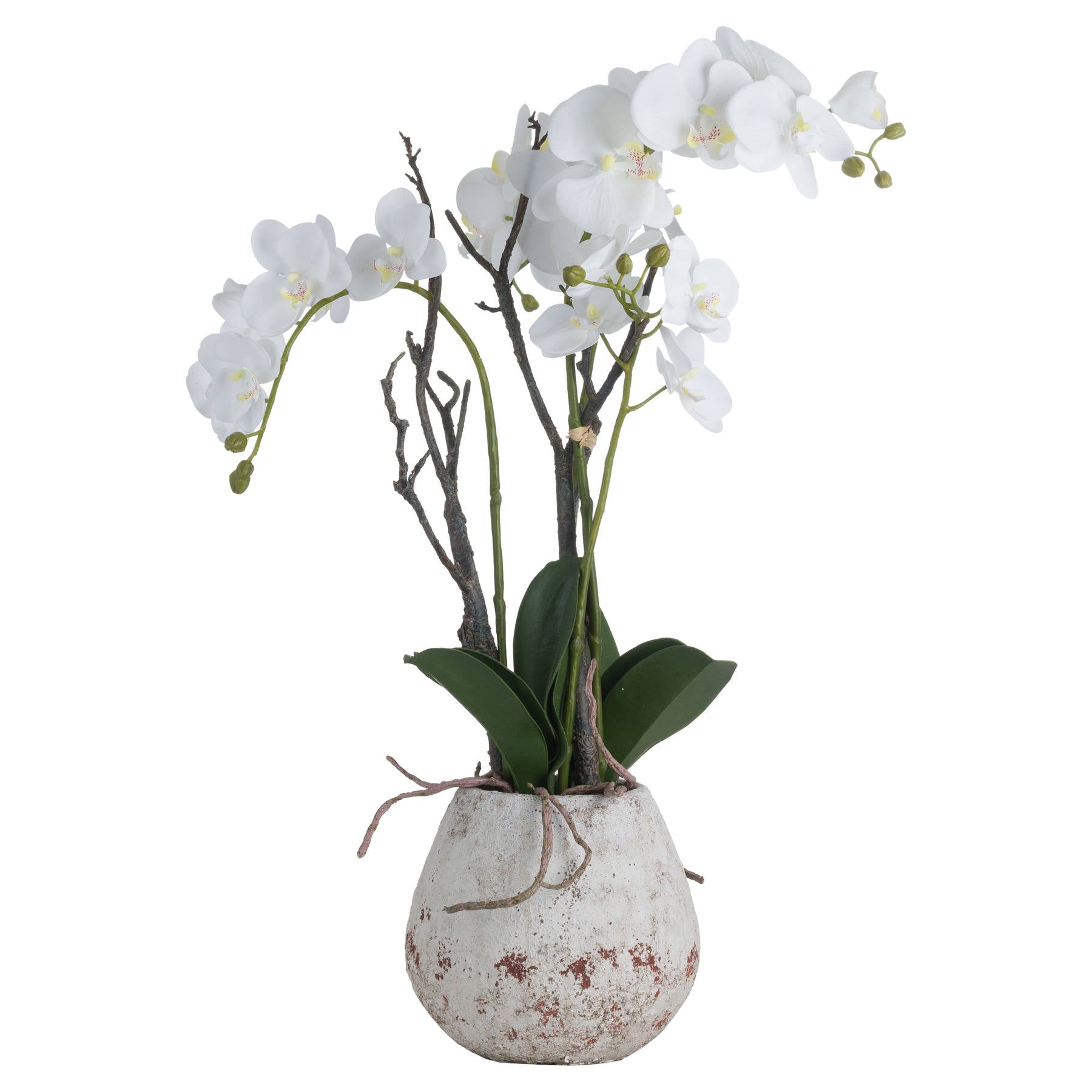 Hill Interiors Artificial "White Orchid" In Stone Pot
