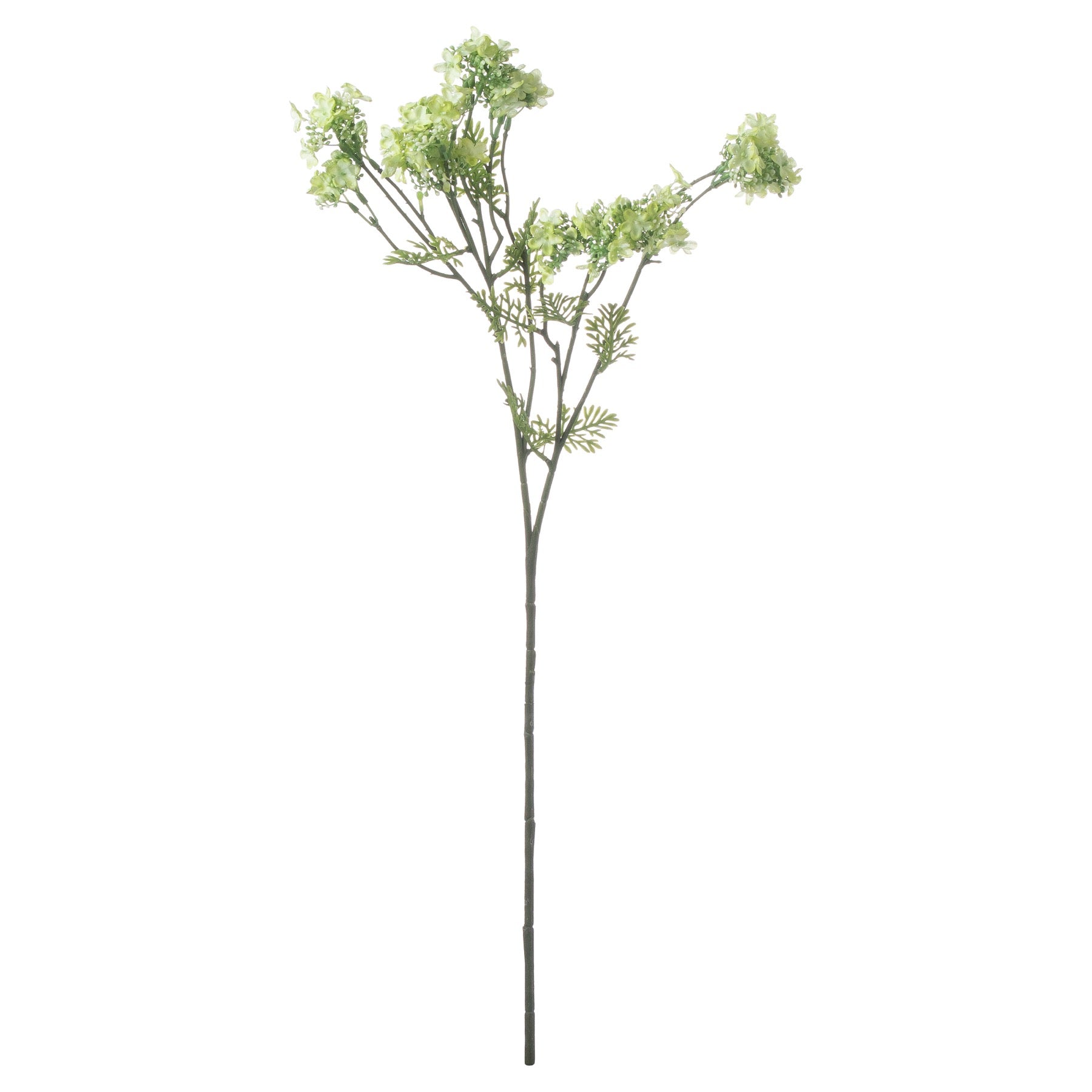 Hill Interiors Artificial "Green Plumb Blossom" Spray