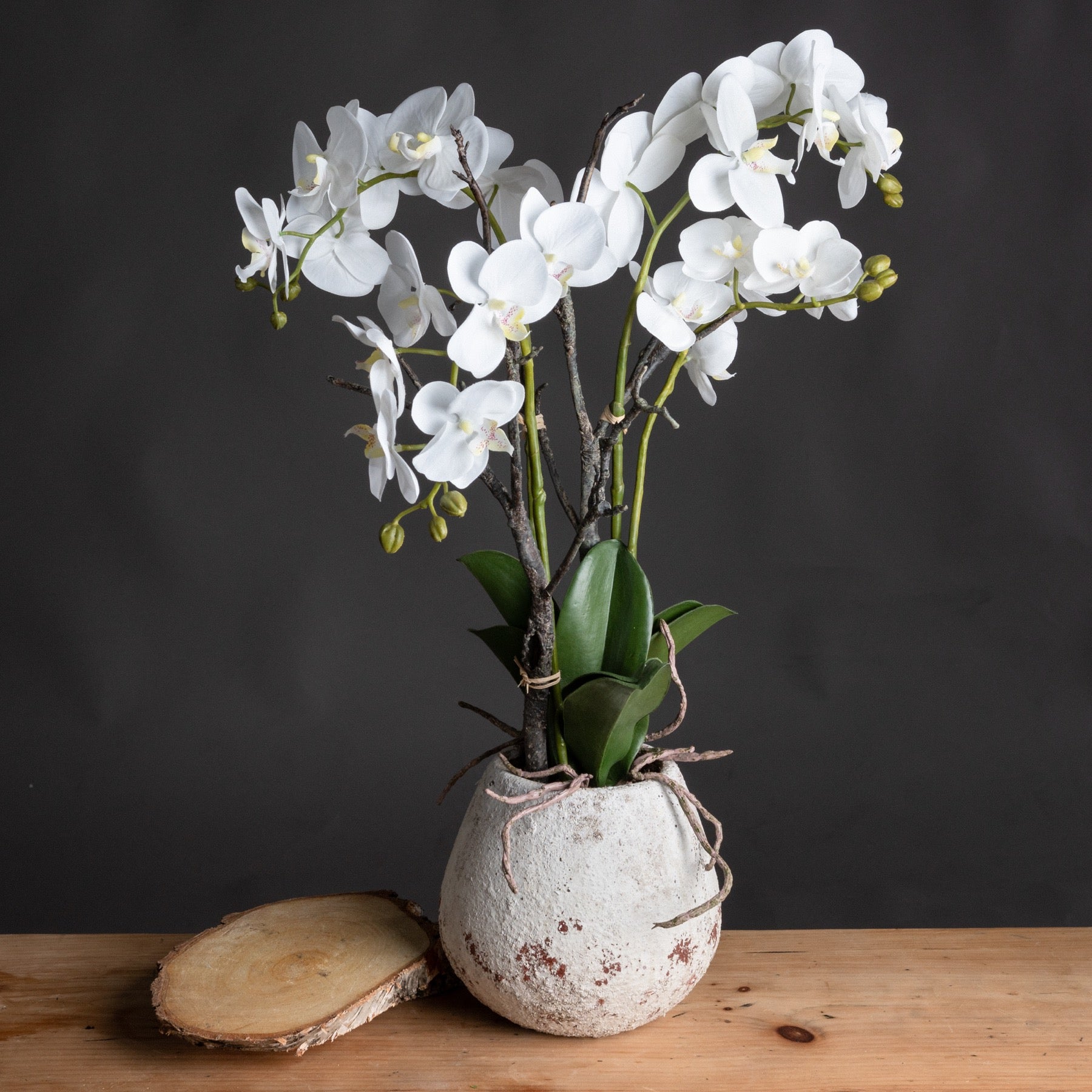 Hill Interiors Artificial "White Orchid" In Stone Pot