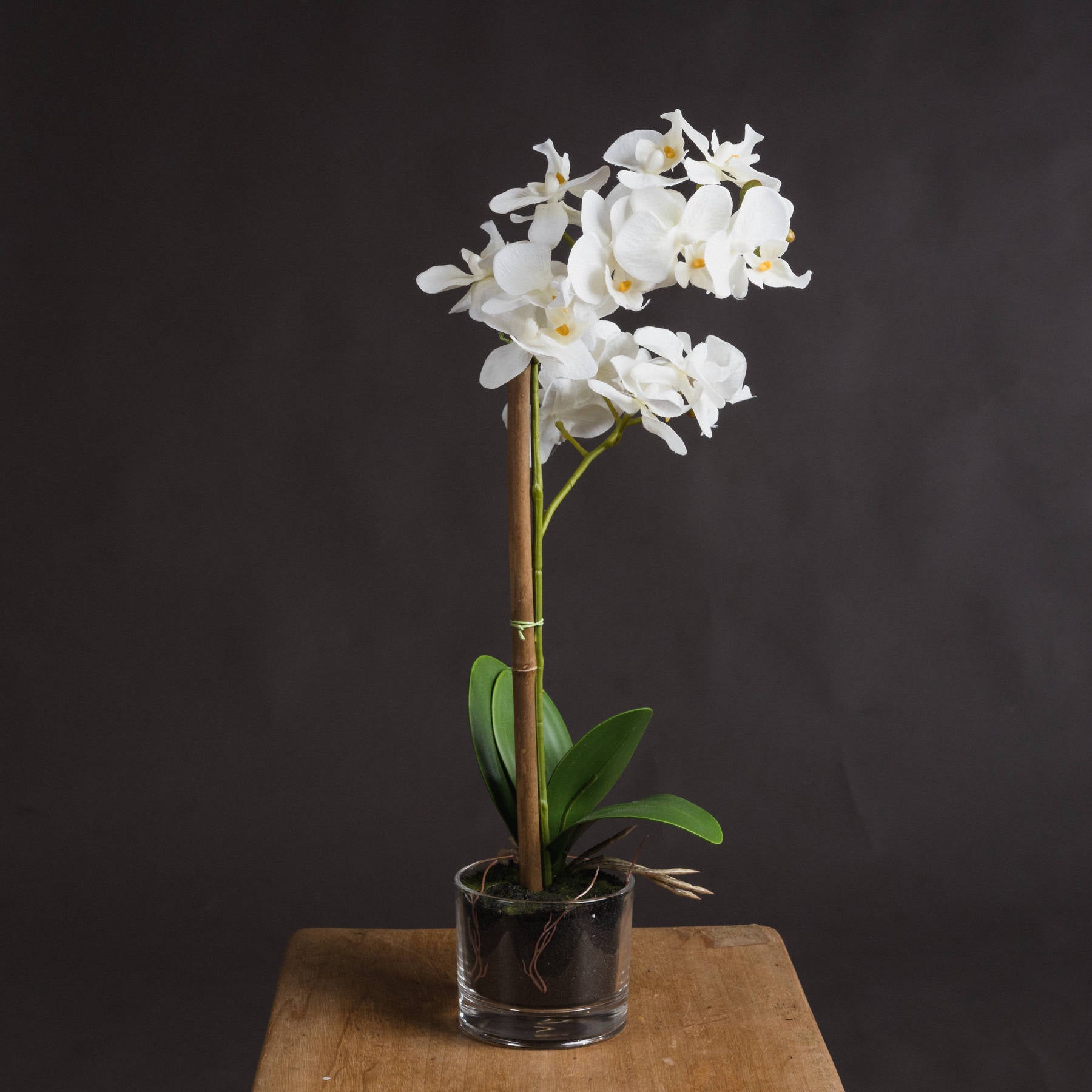 Hill Interiors "Harmony White Potted Orchid"