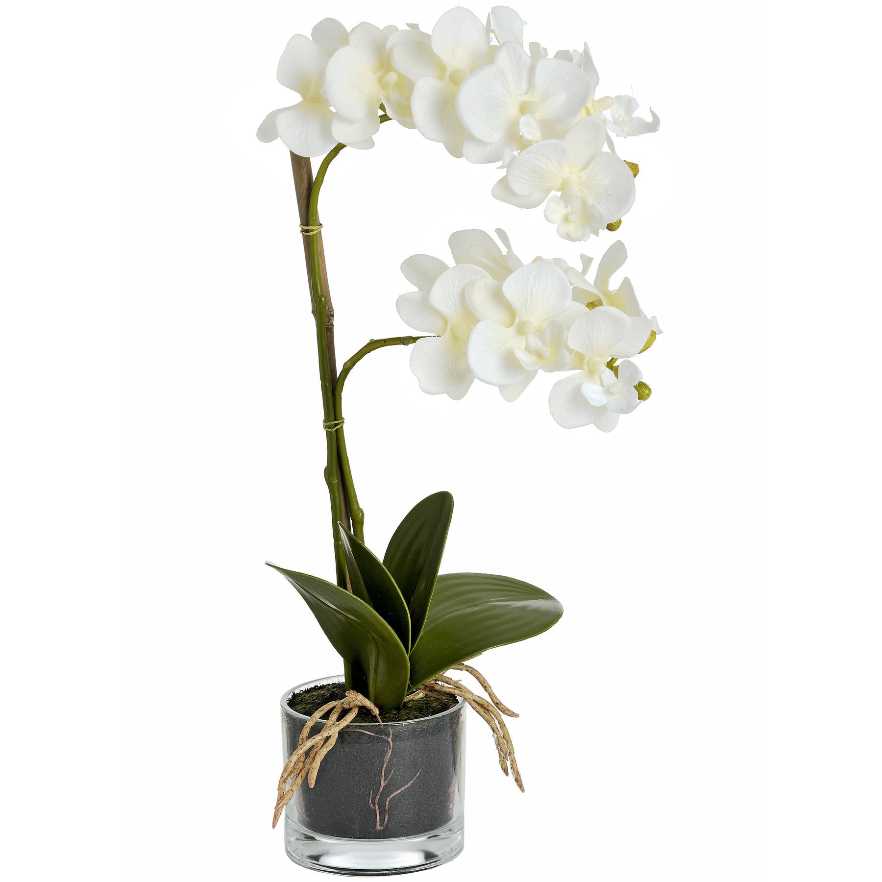 Hill Interiors "Harmony White Potted Orchid"
