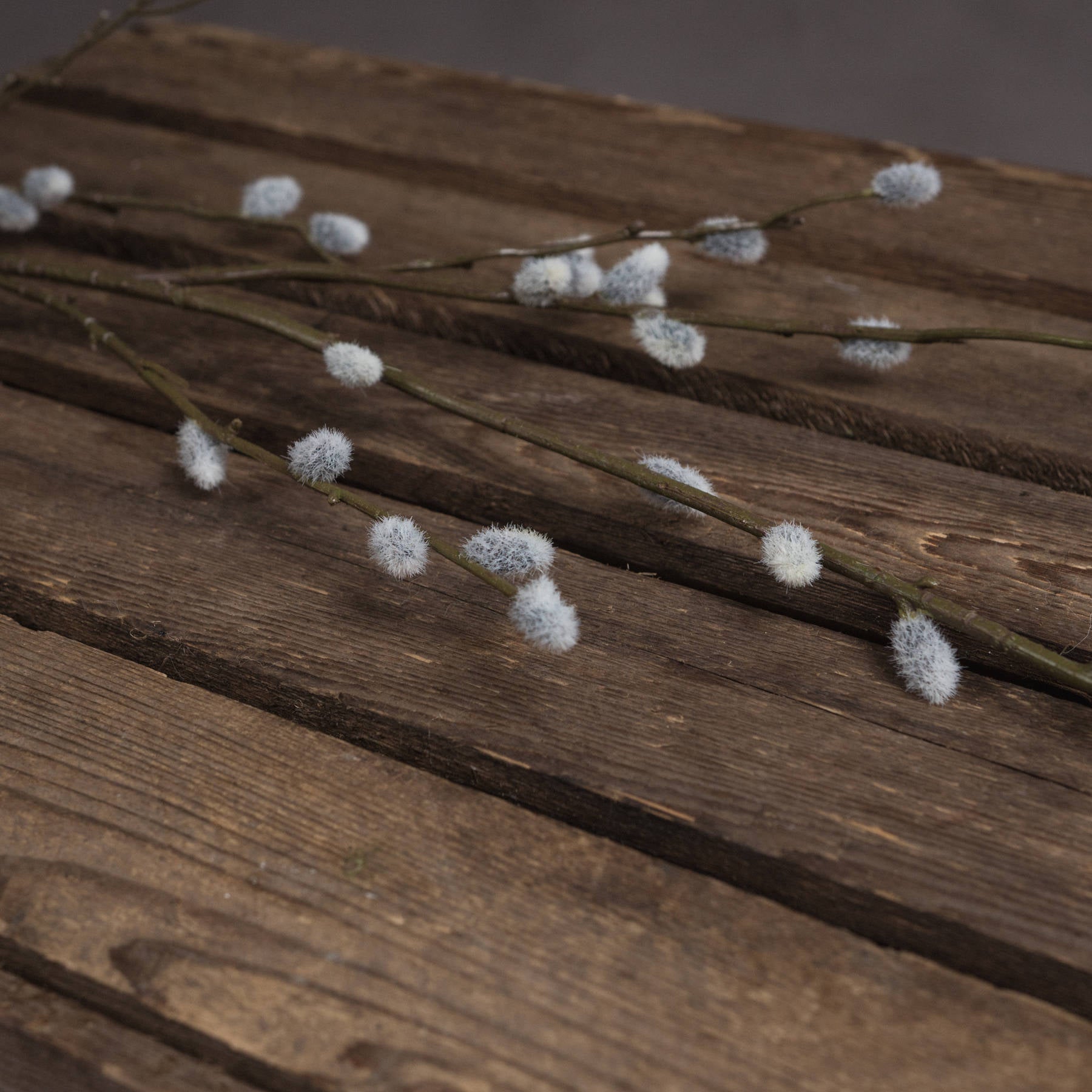 Hill Interiors Artificial "Pussy Willow Branch" Single Stem