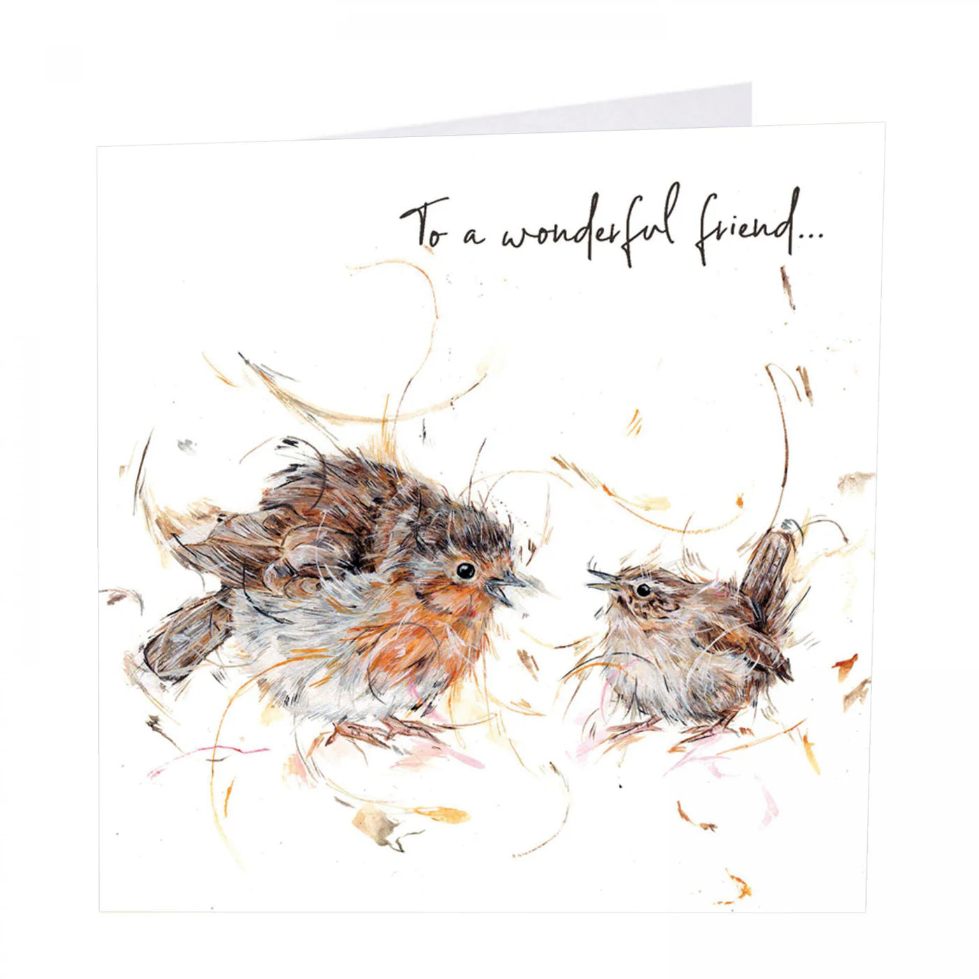 "To A Wonderful Friend" Robin Art Beat Greeting Card