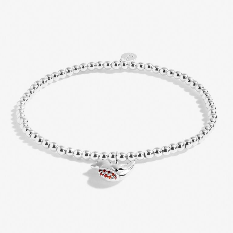 Joma Jewellery "Robins Appear When Loved Ones Are Near" Silver Bracelet