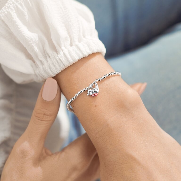 Joma Jewellery "Robins Appear When Loved Ones Are Near" Silver Bracelet