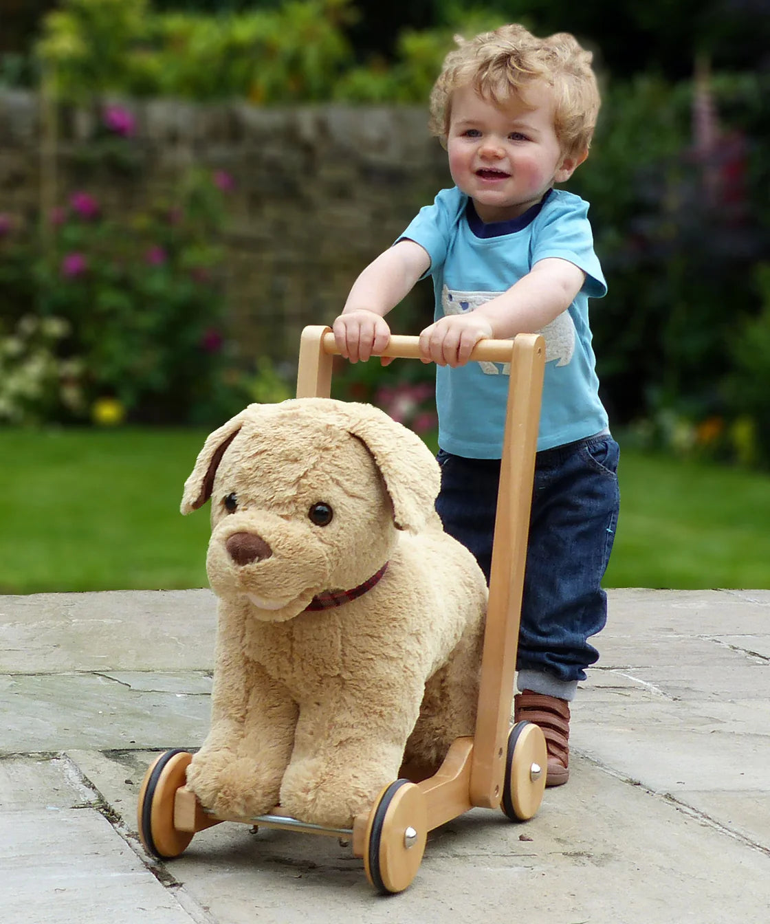 Little Bird Told Me "Dexter The Dog" Push Along Pup 12m+