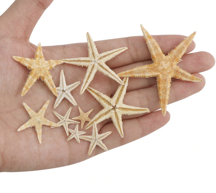 Nautical Decor Mini "Natural Starfish" 2-4cm