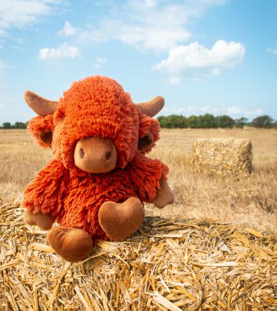 Hamish the Highland Cow Cuddly Toy - Medium