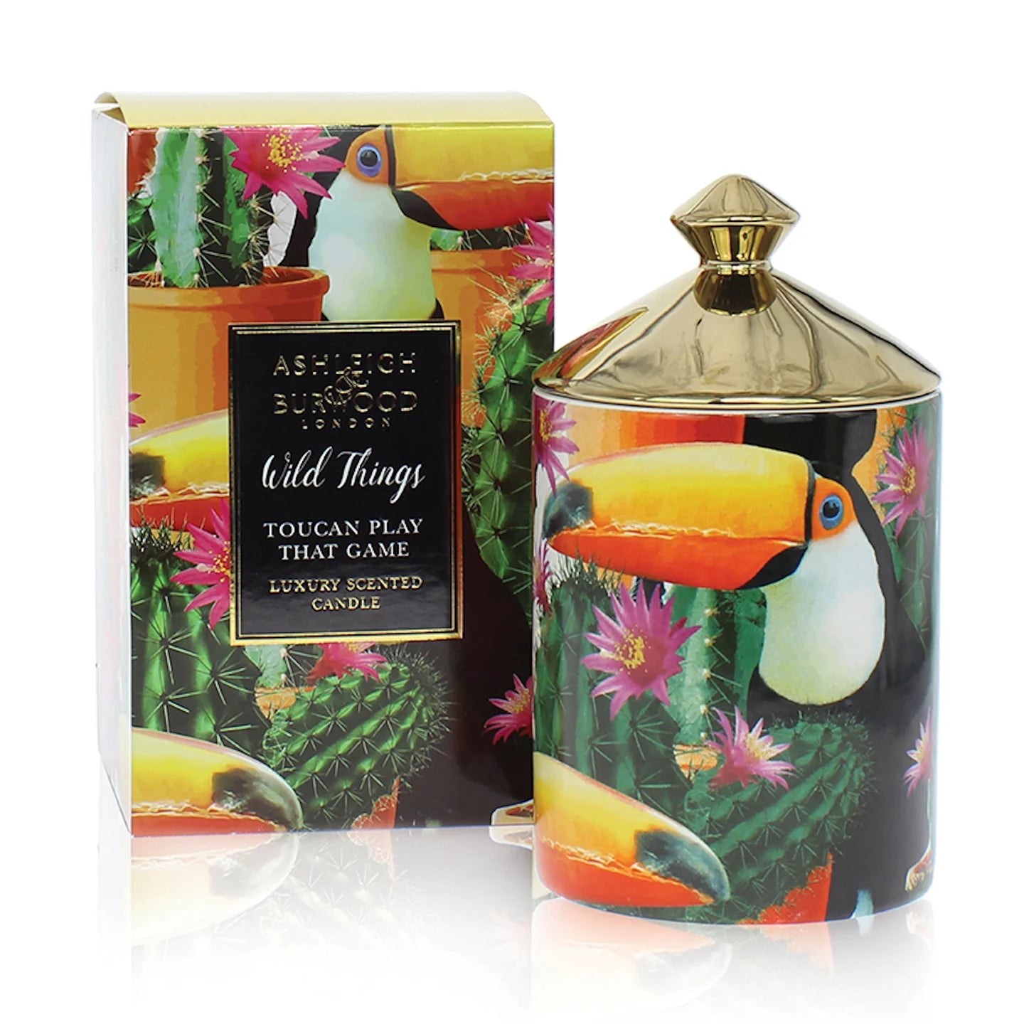 Ashleigh And Burwood Wild Things "Toucan Play That Game" Candle